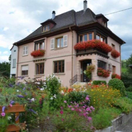 Au Chant De La Riviere Stosswihr Exteriér fotografie
